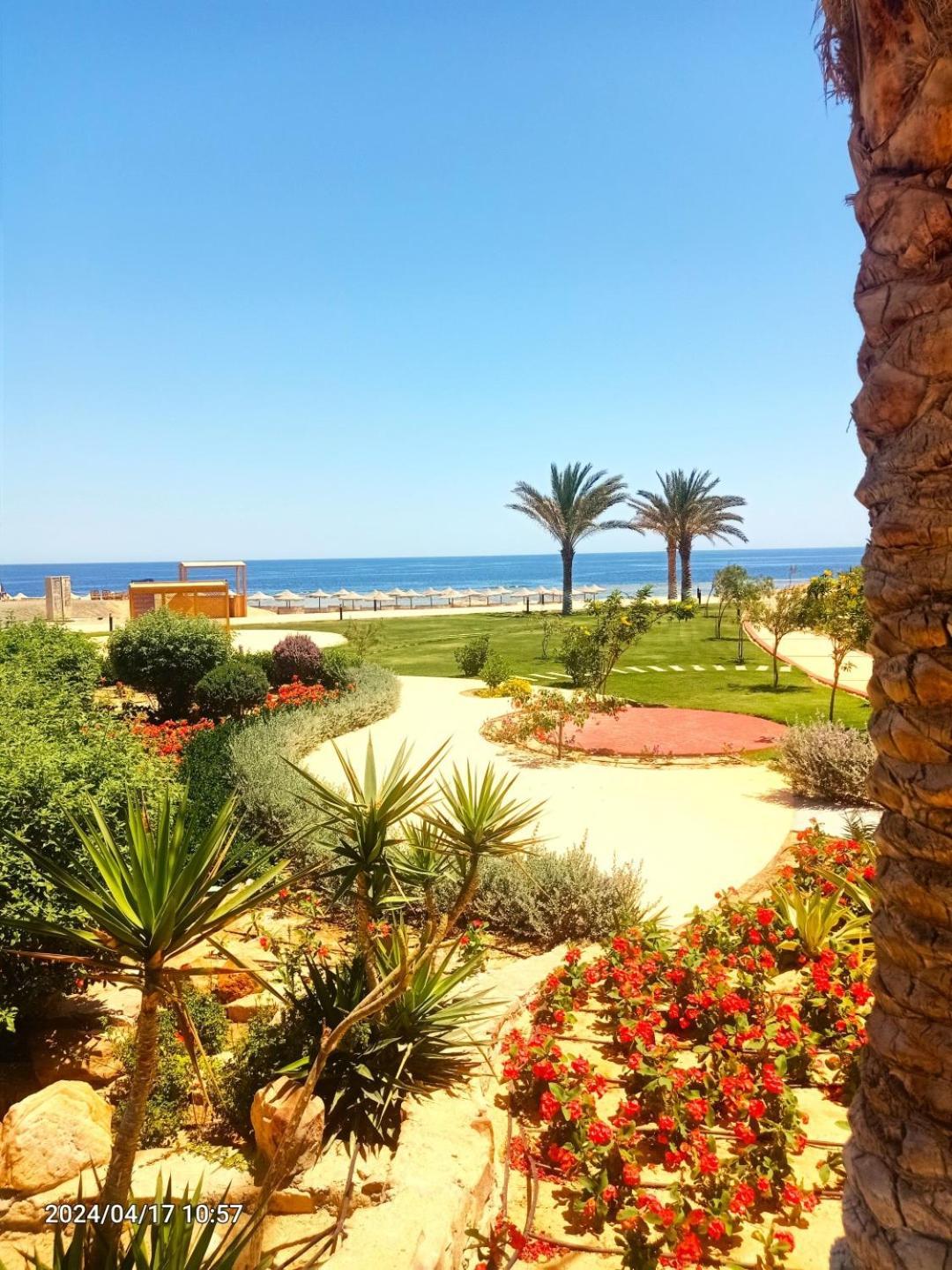 Oyster Bay Beach Resort Abu Dabab Extérieur photo